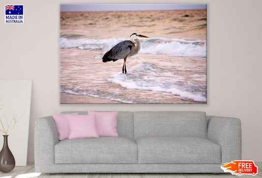 Gray Bird Standing on Shore Photograph Print 100% Australian Made