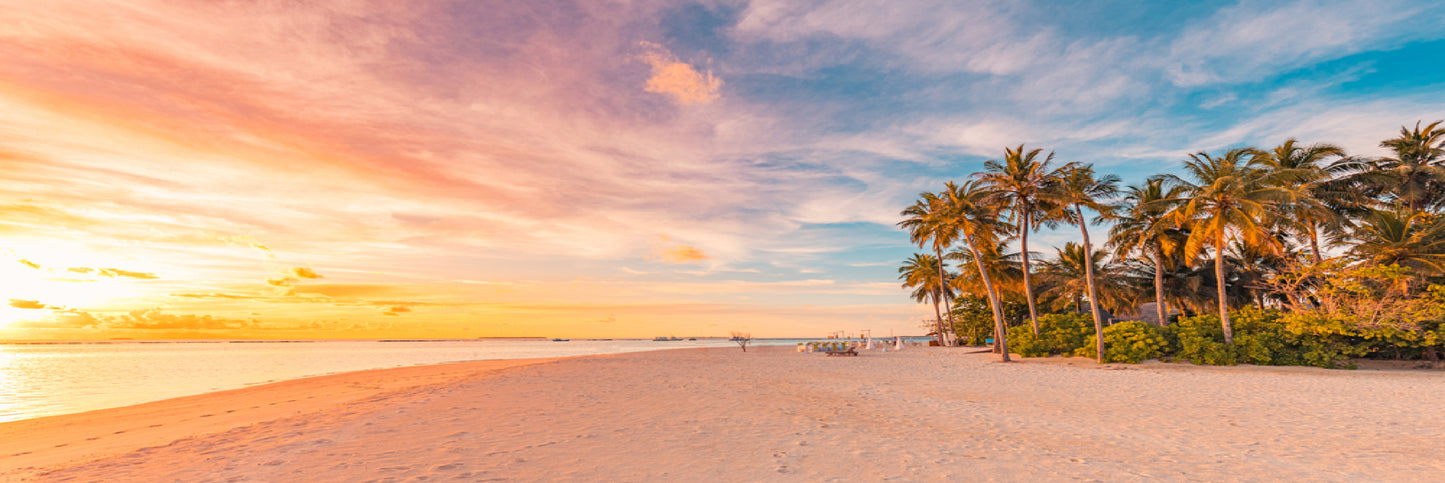 Panoramic Canvas Palm Trees & Sand Sea Photograph High Quality 100% Australian Made Wall Canvas Print Ready to Hang