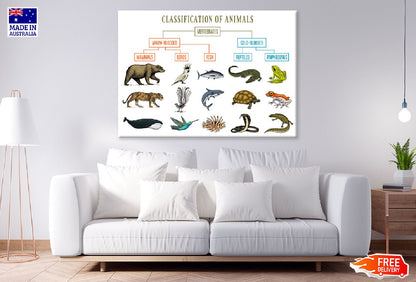Chart of Wild Creatures Vector Art Print 100% Australian Made