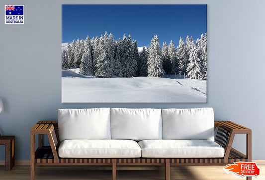 Snow Covered Trees Photograph Print 100% Australian Made