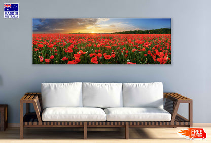 Panoramic Canvas Red Poppy Field View Photograph High Quality 100% Australian Made Wall Canvas Print Ready to Hang