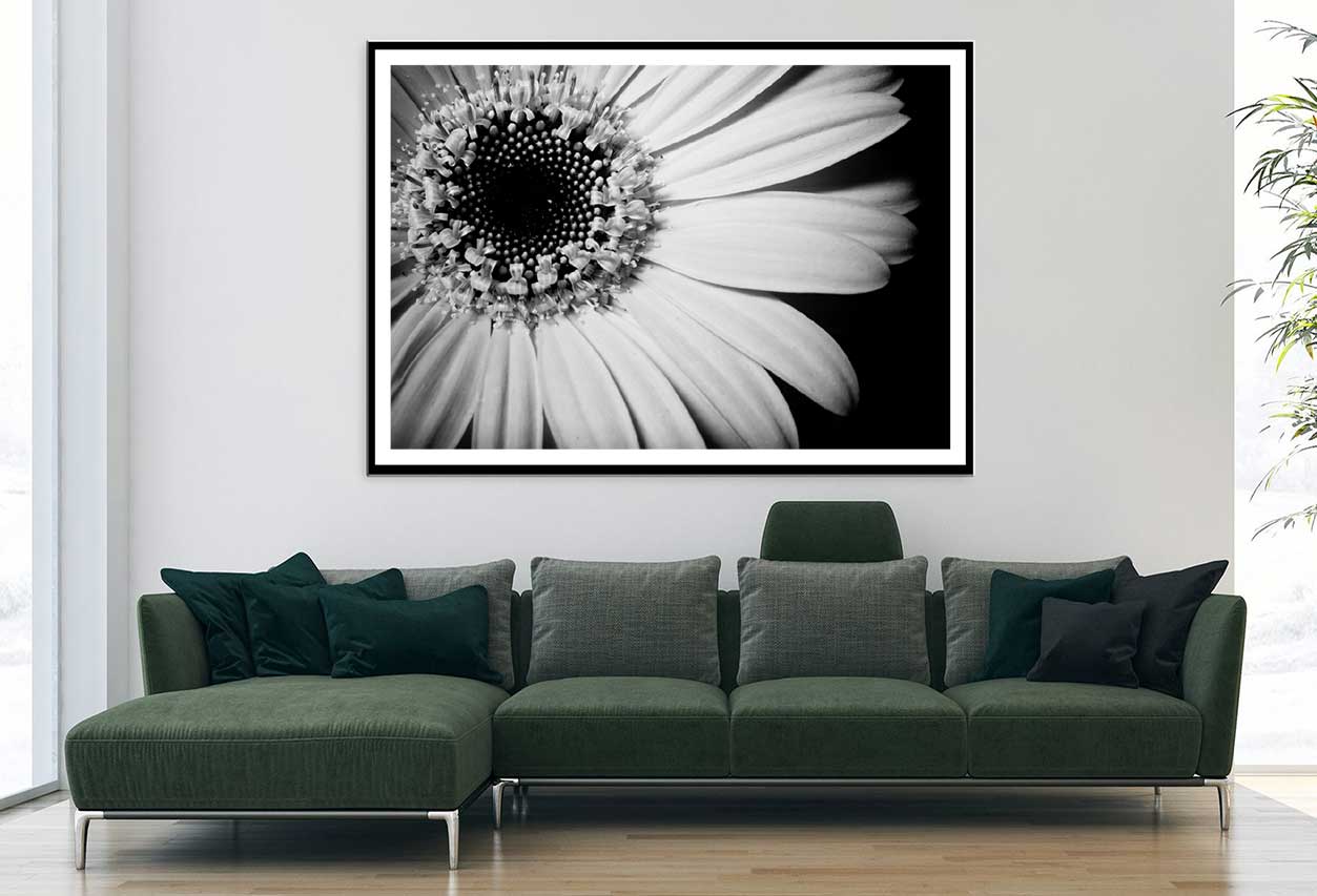 Sunflower Closeup B&W View Photograph Home Decor Premium Quality Poster Print Choose Your Sizes