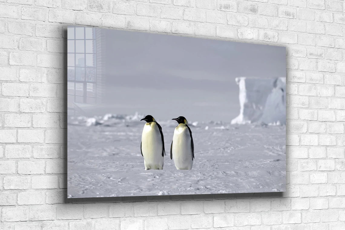 Penguins on Ice Field Print Tempered Glass Wall Art 100% Made in Australia Ready to Hang