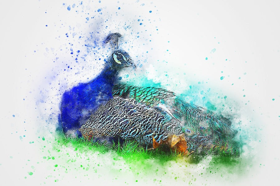 Peacock Abstract Design Print 100% Australian Made