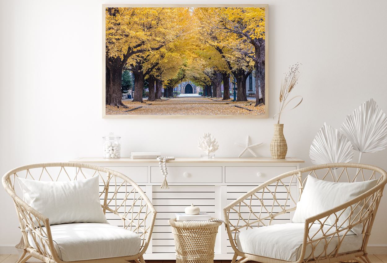 University of Tokyo Autumn Trees Photograph Home Decor Premium Quality Poster Print Choose Your Sizes