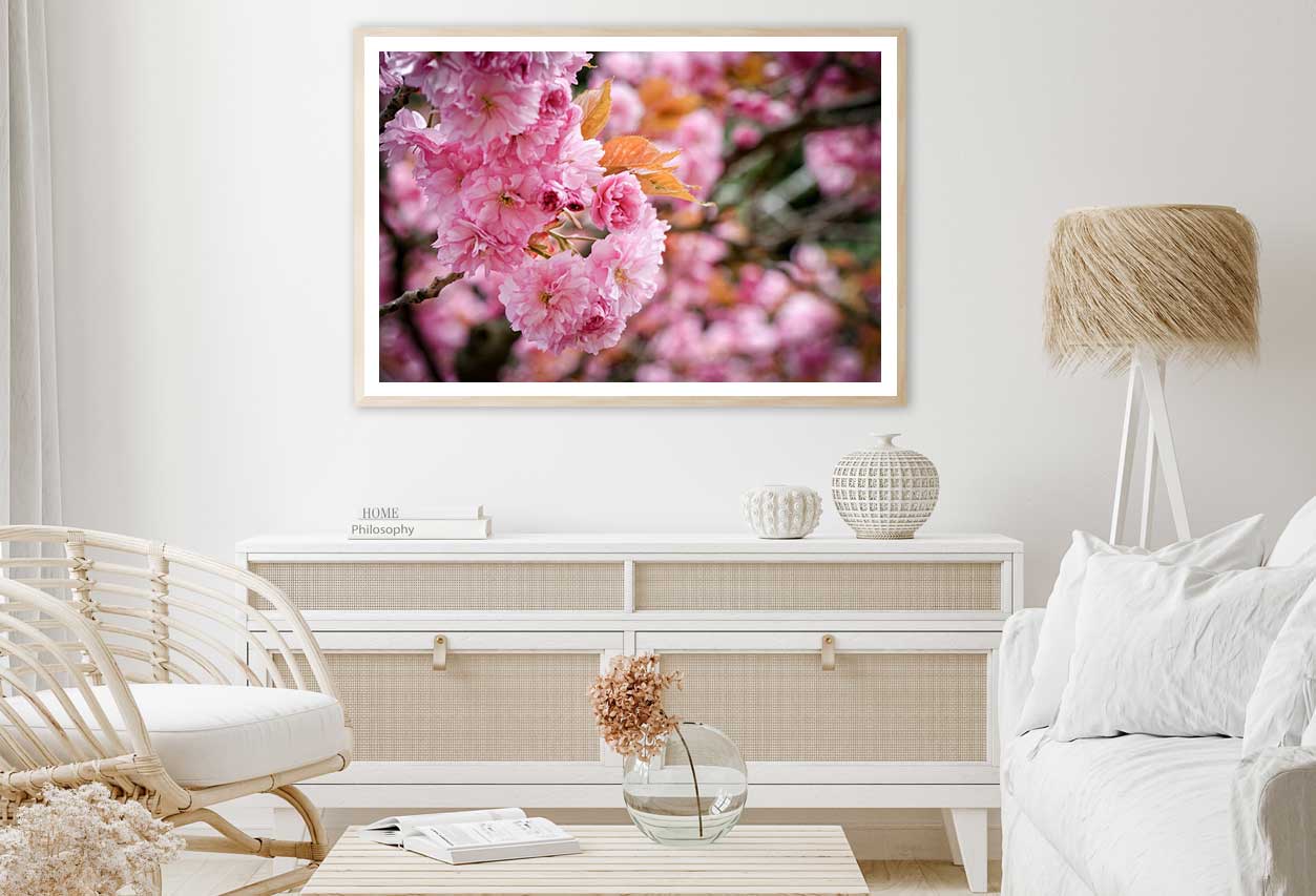 Pink Sakura Flowers Branch View Photograph Home Decor Premium Quality Poster Print Choose Your Sizes