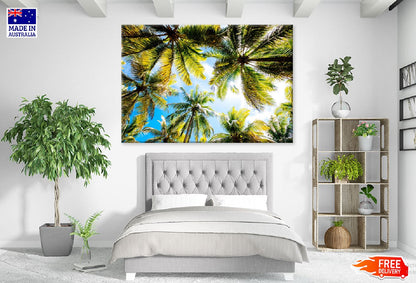 Palm Trees Bottom View & Blue Sky Photograph Print 100% Australian Made