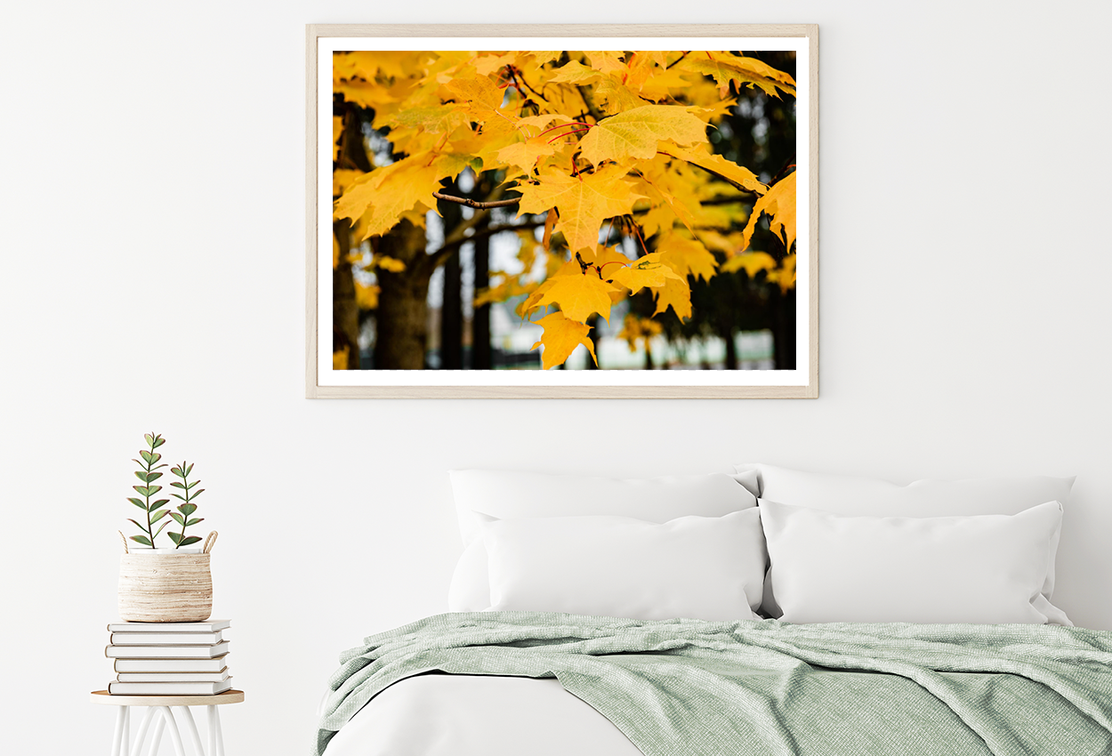 Autumn Leaves Close Up Photograph Home Decor Premium Quality Poster Print Choose Your Sizes