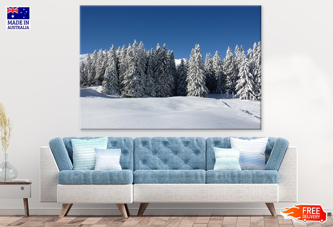 Snow Covered Trees Photograph Print 100% Australian Made