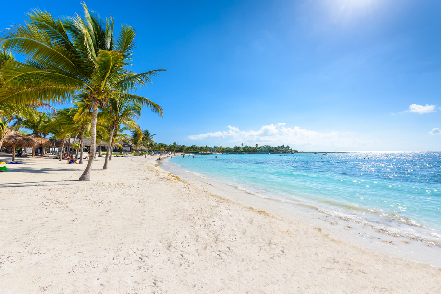 Palm Trees & Sea sky Scenery Photograph Print 100% Australian Made