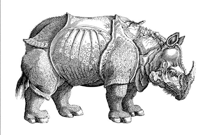 Rhino line art Print 100% Australian Made