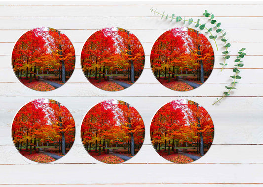 Beautiful Fall Foliage Northeast USA Coasters Wood & Rubber - Set of 6 Coasters