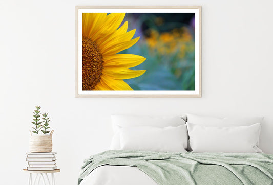 Sunflower Petals Closeup View Photograph Home Decor Premium Quality Poster Print Choose Your Sizes