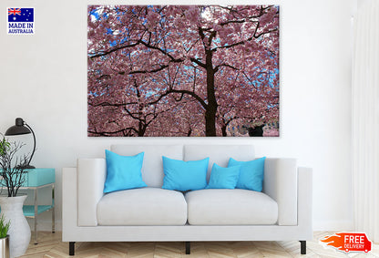 Blossom Tree Forest Photograph Print 100% Australian Made