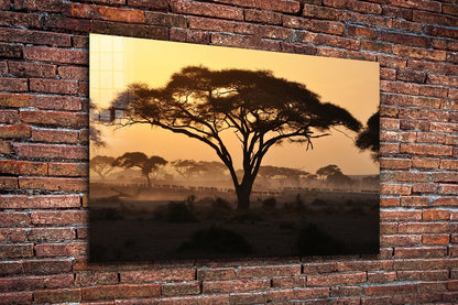 Savannah Forest Sunset Print Tempered Glass Wall Art 100% Made in Australia Ready to Hang