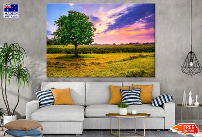 Tree in Field Sunset Scenery Photograph Print 100% Australian Made