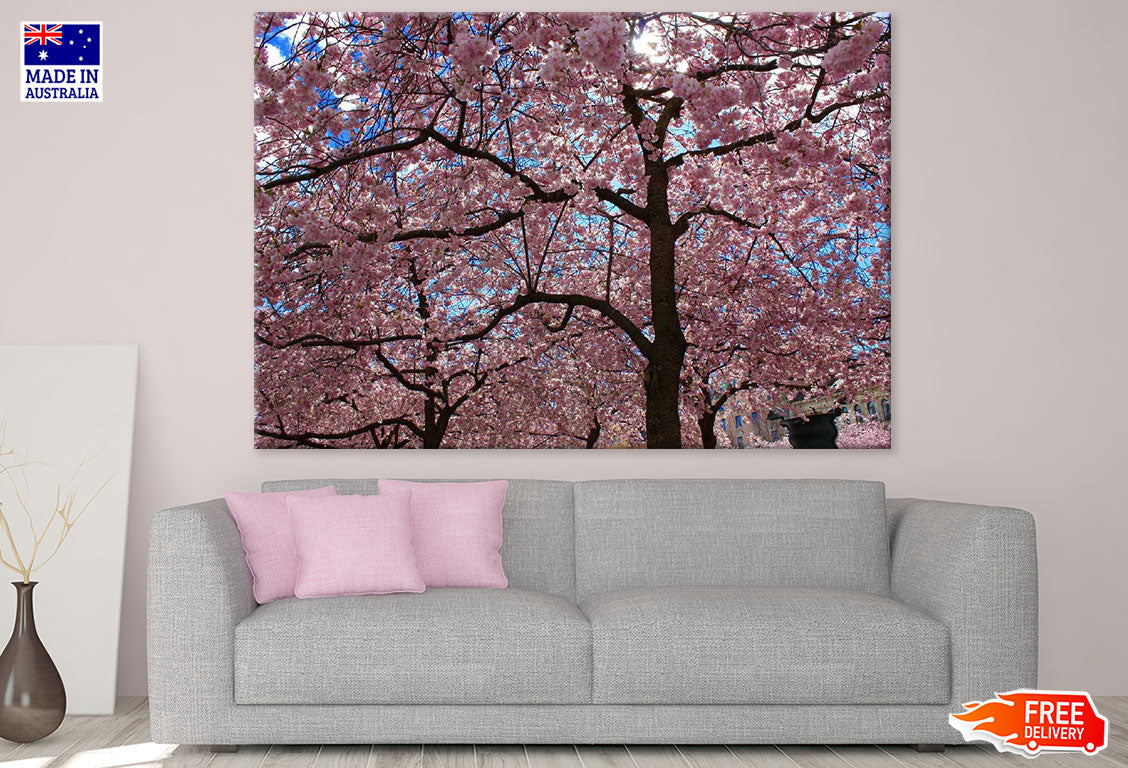 Blossom Tree Forest Photograph Print 100% Australian Made