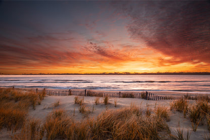 Bella Home Golden Sunrise Long Beach Island Print Canvas Ready to hang