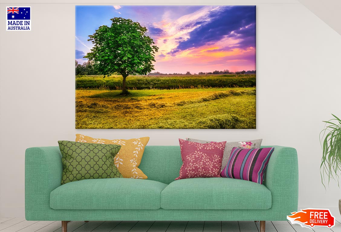 Tree in Field Sunset Scenery Photograph Print 100% Australian Made