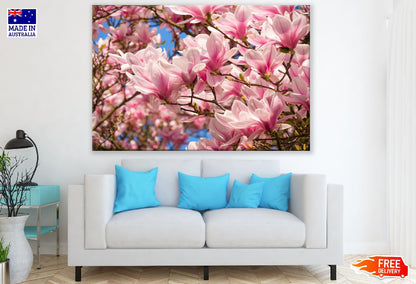 White Pink Magnolia Flowers with Branch Photograph Print 100% Australian Made