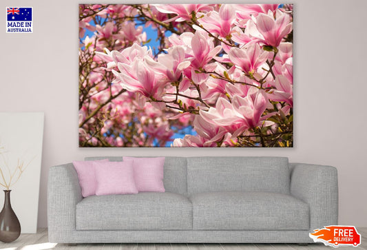 White Pink Magnolia Flowers with Branch Photograph Print 100% Australian Made