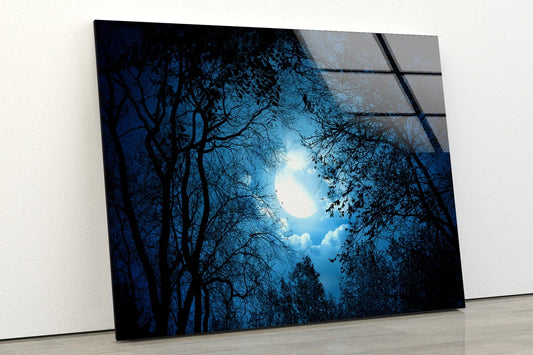Moon & Night Sky View from Forest Photograph Acrylic Glass Print Tempered Glass Wall Art 100% Made in Australia Ready to Hang