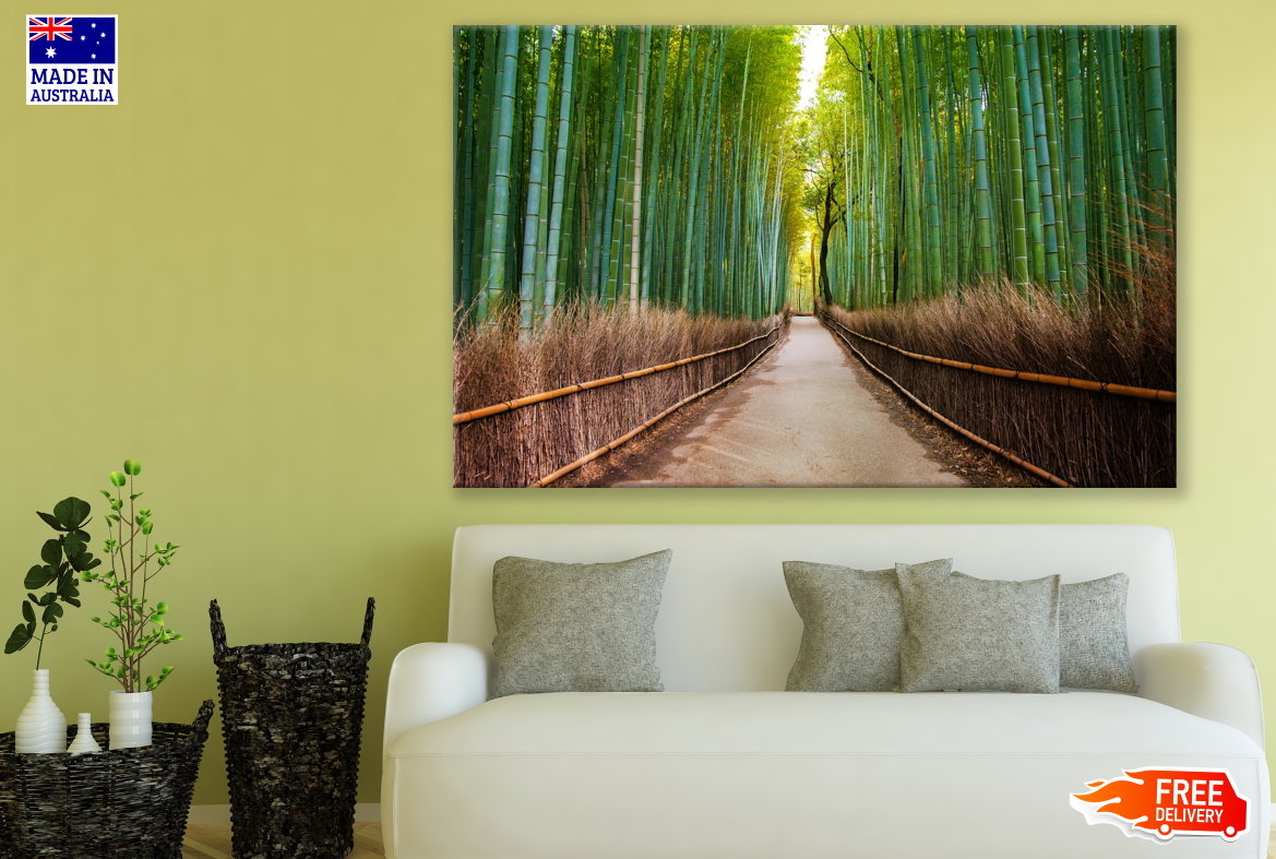 Bamboo Trees Street Photograph Print 100% Australian Made