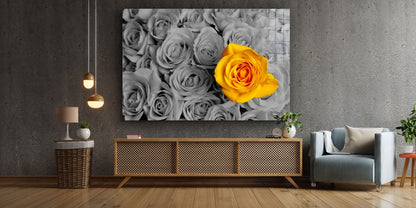 Yellow Rose B&W Roses Print Tempered Glass Wall Art 100% Made in Australia Ready to Hang