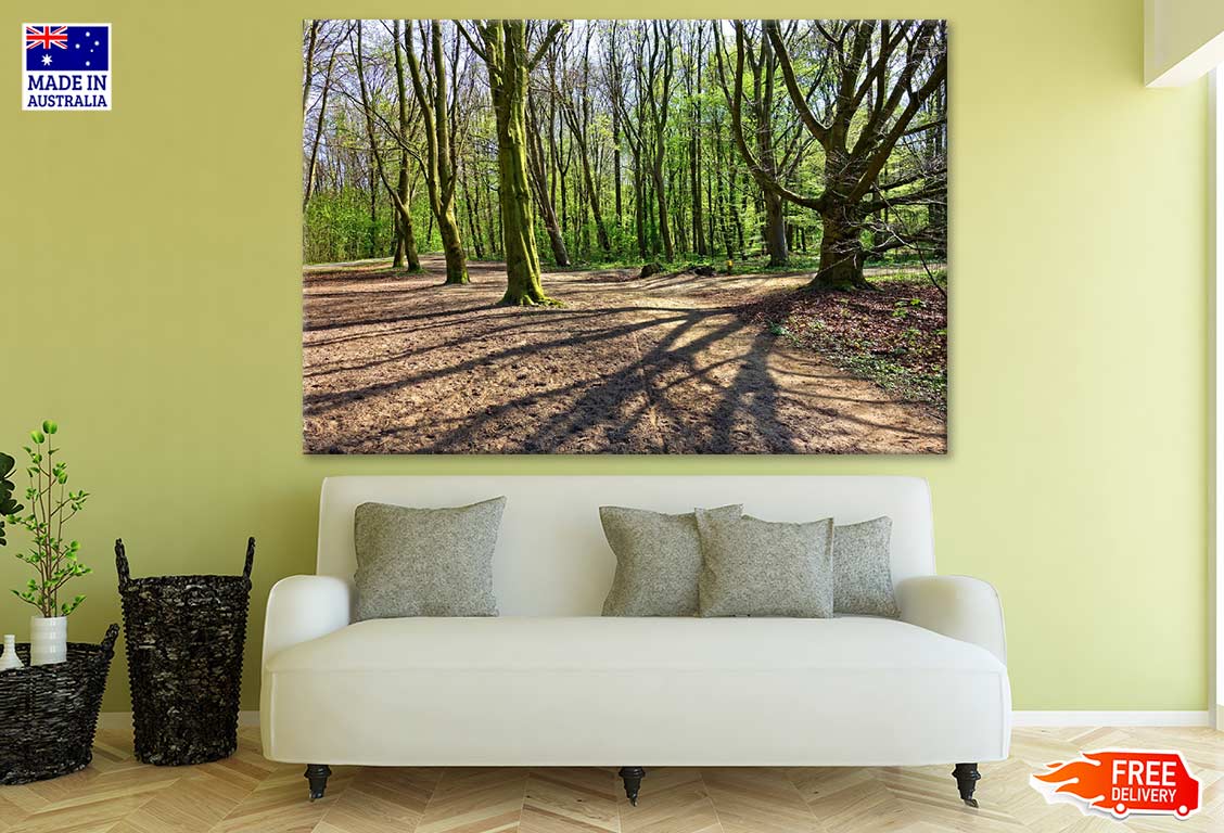 Forest Photograph Print 100% Australian Made