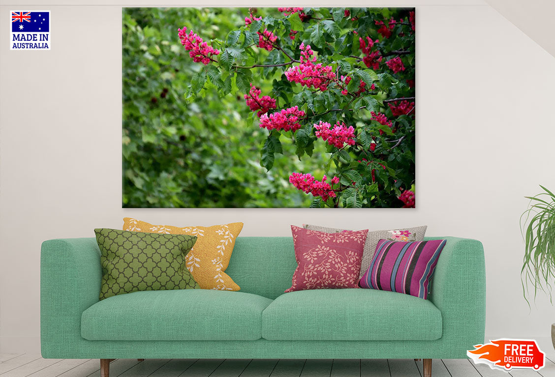 Pink Flower Tree Closeup Photograph Print 100% Australian Made