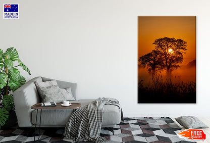 Trees Sun Setting View Photograph Print 100% Australian Made