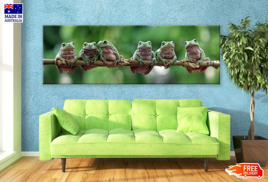 Panoramic Canvas Frogs Hanging on a Tree Branch Photograph High Quality 100% Australian Made Wall Canvas Print Ready to Hang