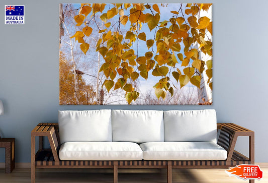 Yellow Leaves Closeup Photograph Print 100% Australian Made