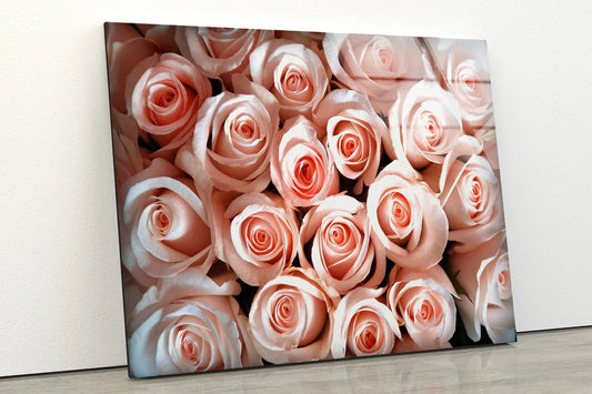 Rose Flower Bouquet Photograph Acrylic Glass Print Tempered Glass Wall Art 100% Made in Australia Ready to Hang