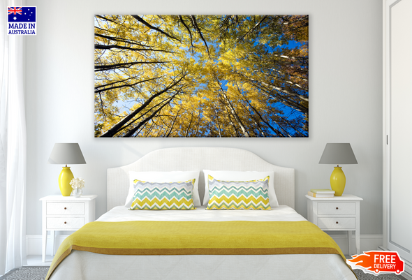 Yellow Leafy Trees View From Ground Photograph Print 100% Australian Made
