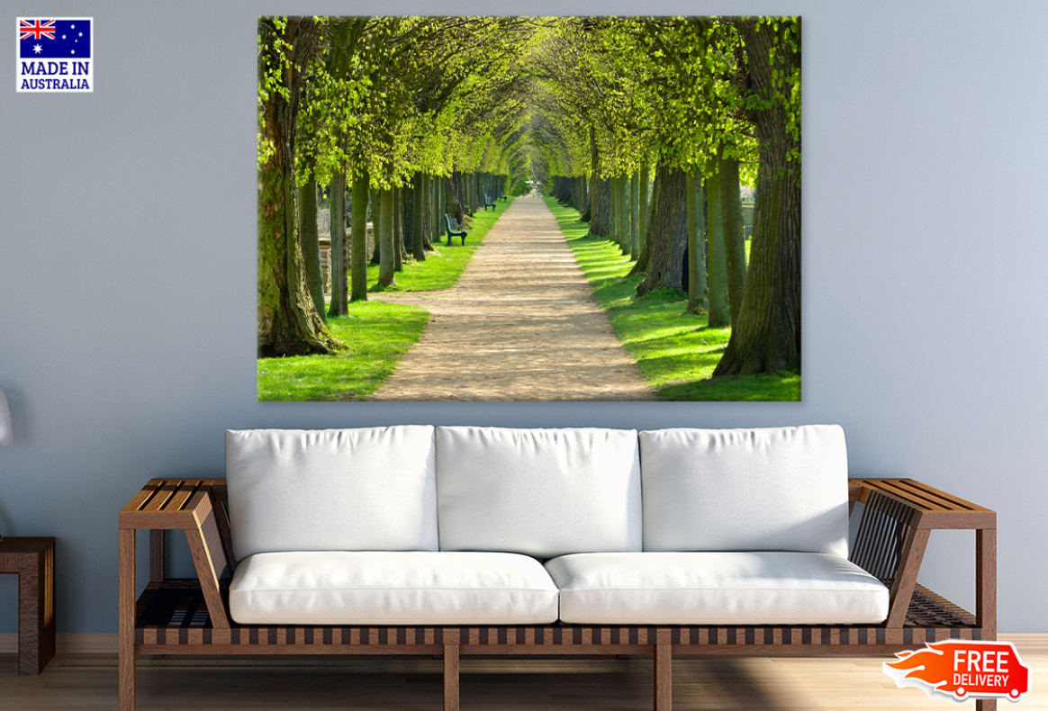 Trees & Walking Road Photograph Print 100% Australian Made