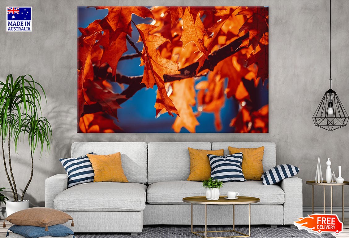 Orange Leaves Closeup Photograph Print 100% Australian Made