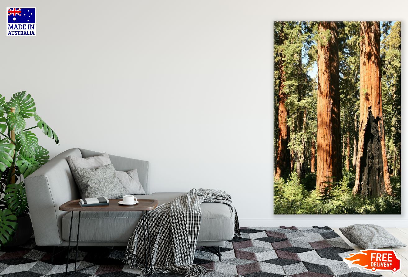 Old Trees & Bark View Photograph Print 100% Australian Made