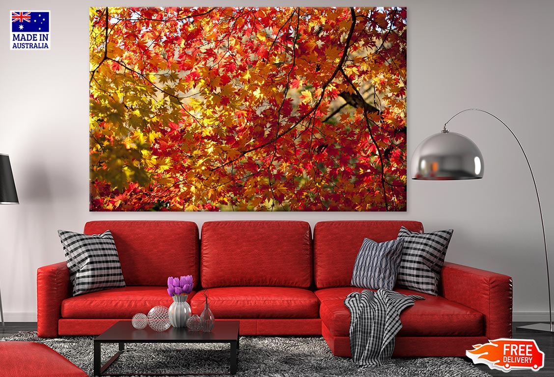 Maple Leaves Closeup Photograph Print 100% Australian Made