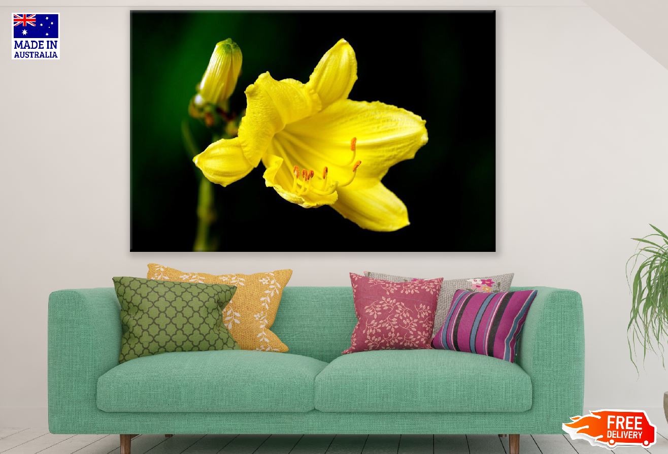 Yellow Lily Flower Closeup Photograph Print 100% Australian Made