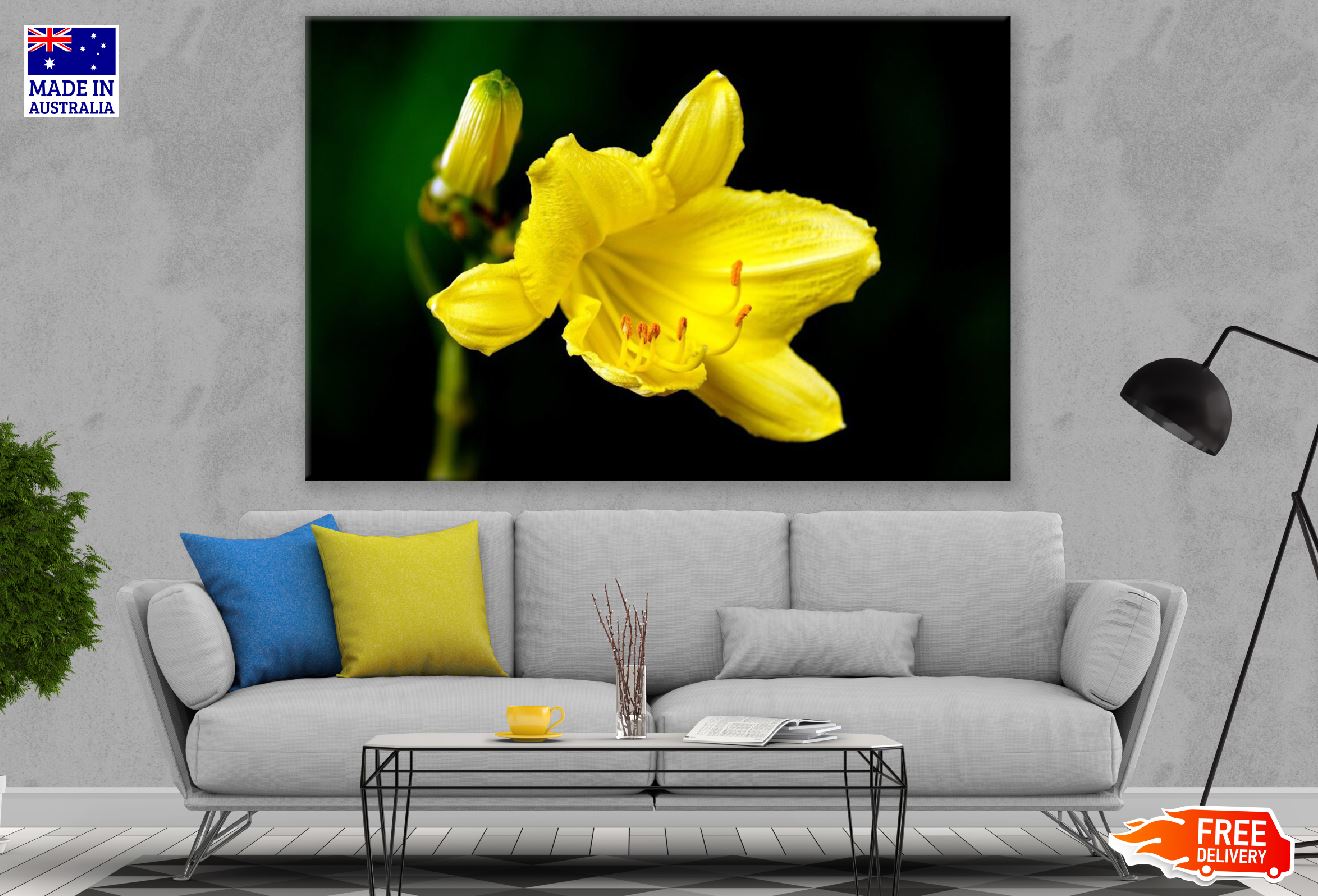 Yellow Lily Flower Closeup Photograph Print 100% Australian Made