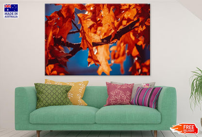 Orange Leaves Closeup Photograph Print 100% Australian Made