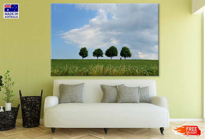 Trees on Hill Photograph Print 100% Australian Made