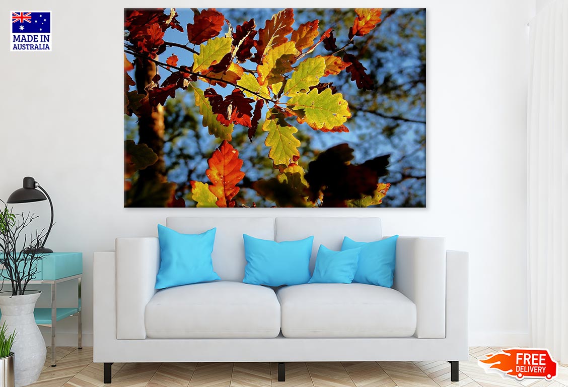 Colorful Leaves Closeup Photograph Print 100% Australian Made