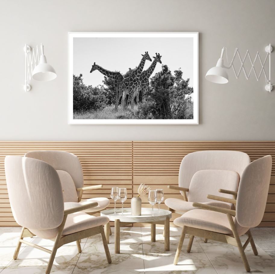 Giraffes in Forest B&W Photograph Home Decor Premium Quality Poster Print Choose Your Sizes