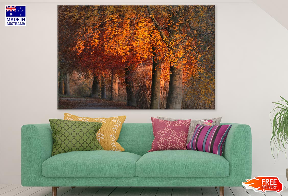 Orange Leaves Trees Row Photograph Print 100% Australian Made