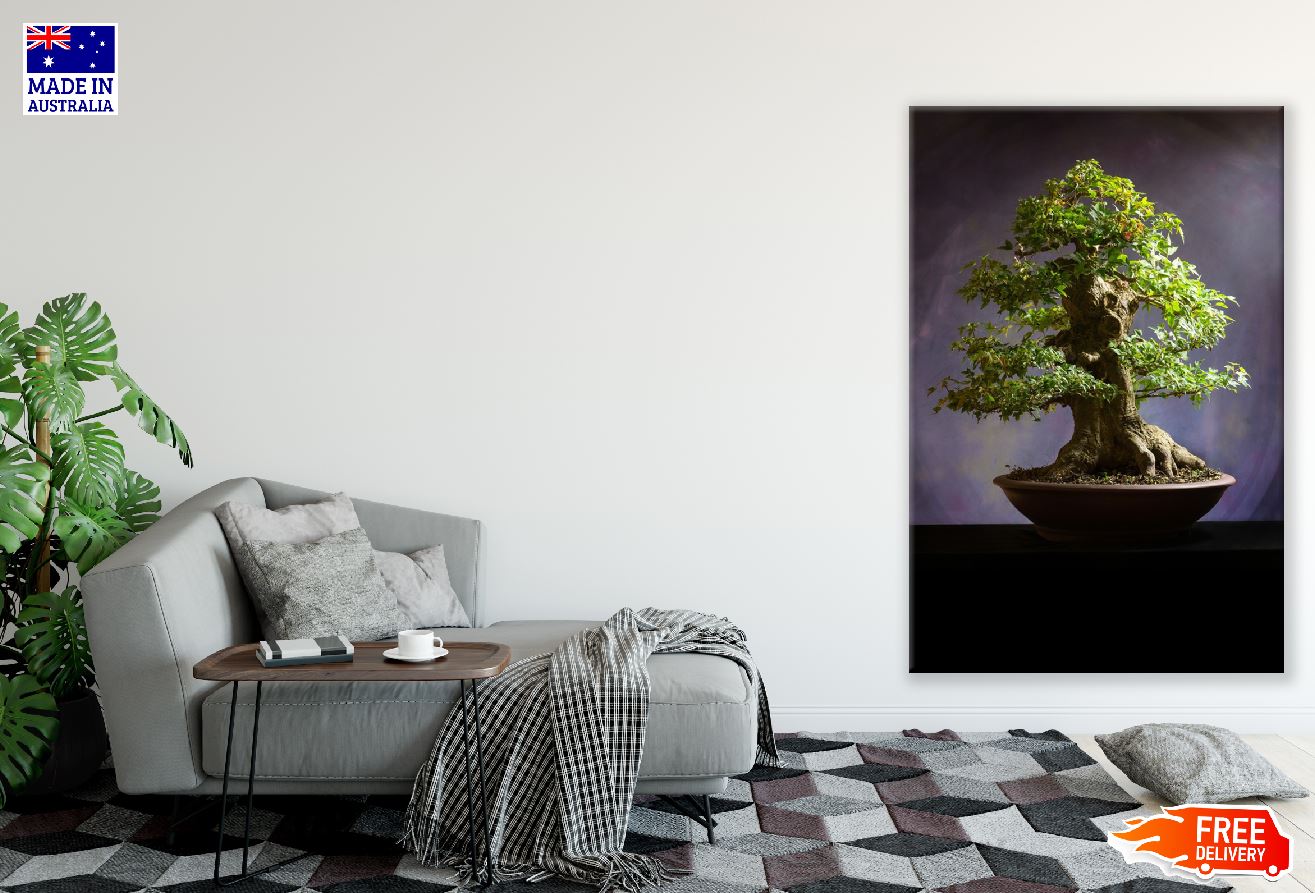 Bonsai Tree View Photograph Print 100% Australian Made