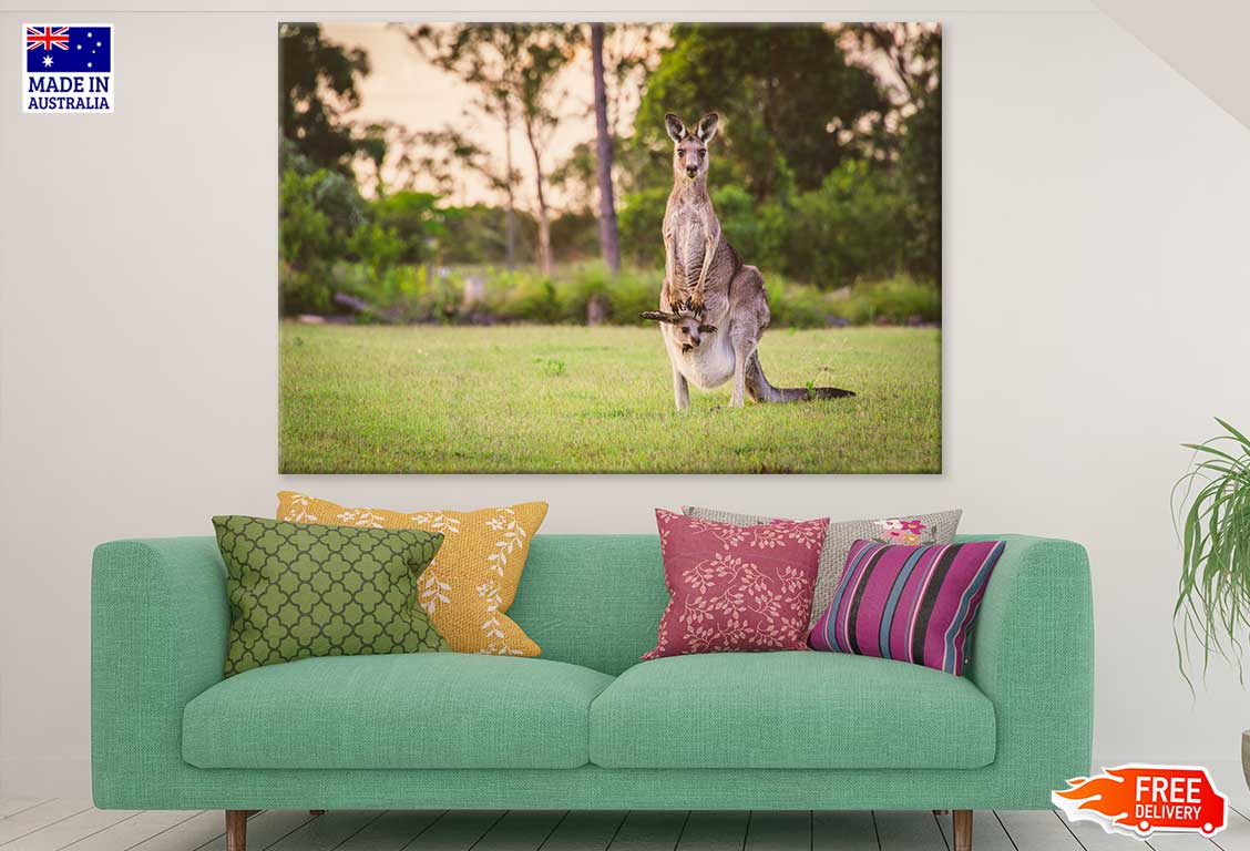 Kangaroo Mom & Baby Photograph Print 100% Australian Made