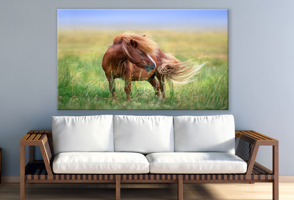 Brown Horse Standing Print 100% Australian Made