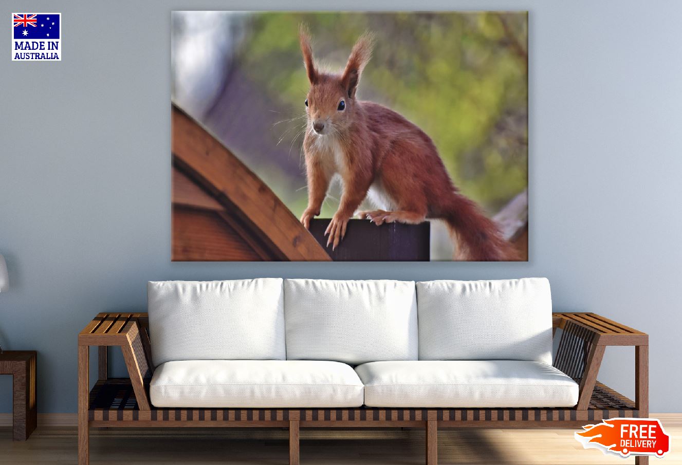 Red Squirrel Closeup Photograph Print 100% Australian Made